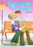 Winterfahrt ins Glück (eBook, PDF)