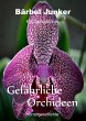 Gefährliche Orchideen (eBook, ePUB) - Bild 1