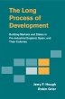 The Long Process of Development - Bild 1