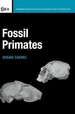 Fossil Primates - Cachel, Susan