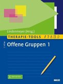 Therapie-Tools Offene Gruppen 1 (eBook, PDF)