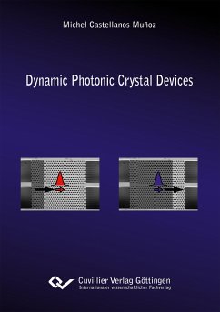 Dynamic Photonic Crystal Devices - Castellanos Muñoz, Michel