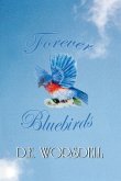 Forever Bluebirds