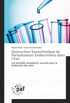 Destruction Sonochimique de Perturbateurs Endocriniens dans l¿Eau