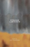 Strange Labyrinth