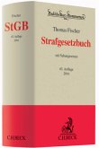 Strafgesetzbuch (StGB), Kommentar