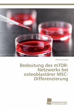 Bedeutung des mTOR-Netzwerks bei osteoblastärer MSC-Differenzierung - Schaub, Theres