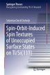 Spin-Orbit-Induced Spin Textures of... - Bild 1
