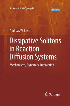 Dissipative Solitons in Reaction Diffusion Systems - Liehr, Andreas