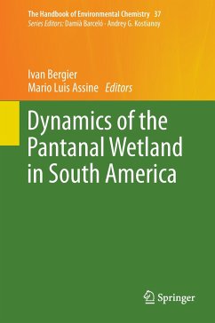 Dynamics of the Pantanal Wetland in South America