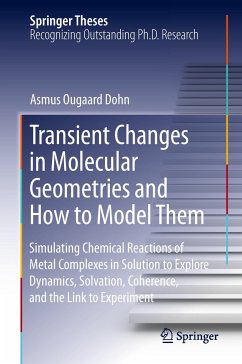 Transient Changes in Molecular Geometries and How to Model Them - Dohn, Asmus O.