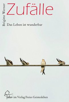 Zufälle (eBook, ePUB) - Werner, Brigitte