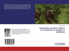 Husbandry practices effects on incidence of mastitis in buffaloes