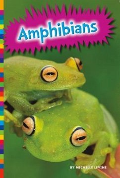 Amphibians - Levine, Michelle