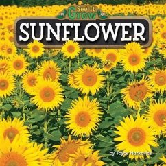 Sunflower - Markovics, Joyce