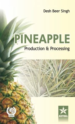 Pineapple - Singh, Desh Beer