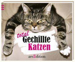 Total Gechillte Katzen - Vennebusch, Paulus