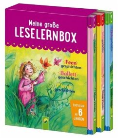 Meine große Leselernbox - Feengeschichten, Ballettgeschichten, Pferdegeschichten, 3 Bde.