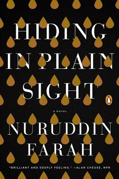 Hiding in Plain Sight - Farah, Nuruddin