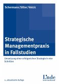 Strategische Managementpraxis in Fallstudien (eBook, PDF)