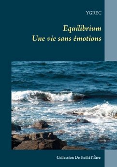 Cover Equilibrium (eBook, ePUB)