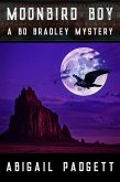 Moonbird Boy (Bo Bradley Mystery, #4) (eBook, ePUB)