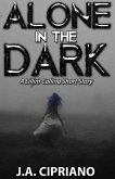 Alone in the Dark (The Lillim Callina Chronicles) (eBook, ePUB)