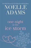 One Night in the Ice Storm (eBook, ePUB)