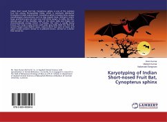 Karyotyping of Indian Short-nosed Fruit Bat, Cynopterus sphinx