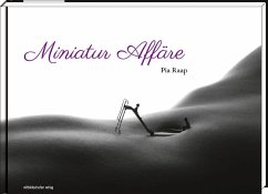 Cover Miniatur Affäre