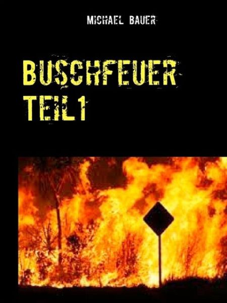 Buschfeuer (eBook, ePUB)