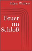 Feuer im Schloß (eBook, ePUB)