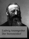 Der Sternsteinhof (eBook, ePUB)