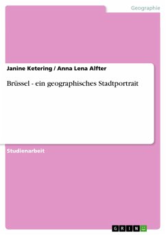 Cover Brüssel - ein geographisches Stadtportrait (eBook, PDF)