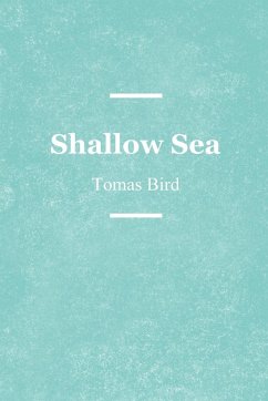 Shallow Sea - Bird, Tomas