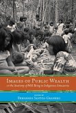 Images of Public Wealth or the Anatomy of Well-Being in Indigenous Amazonia