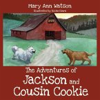 The Adventures of Jackson and Cousin Cookie