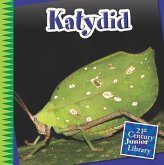 Katydid