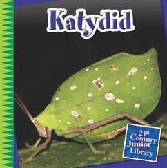 Katydid - Shoulders, Mike