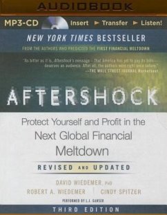 Aftershock: Protect Yourself and Profit in the Next Global Financial Meltdown (Third Edition) - Wiedemer, David; Wiedemer, Robert A.; Spitzer, Cindy S.