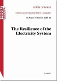 The Resilience of the Electricity System