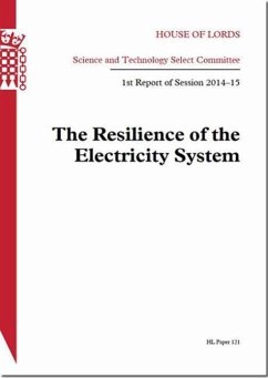 The Resilience of the Electricity System