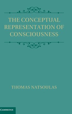 The Conceptual Representation of Consciousness - Natsoulas, Thomas