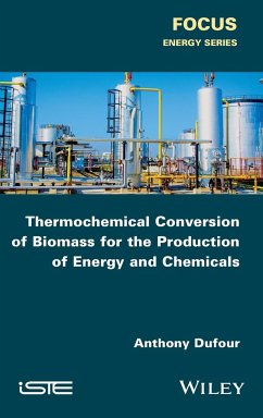 Thermochemical Conversion of Biomass for the Production of Energy and Chemicals - Dufour, Anthony