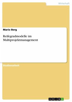 Reifegradmodelle im Multiprojektmanagement - Berg, Mario