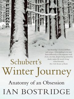 Schubert's Winter Journey - Bostridge, Ian