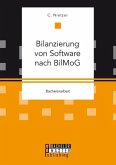 Bilanzierung von Software nach BilMoG