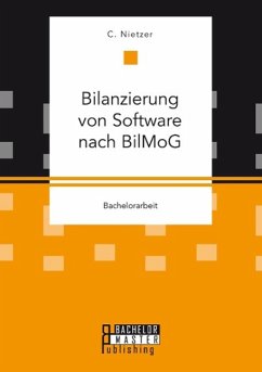 Bilanzierung von Software nach BilMoG - Nietzer, C.
