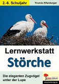 Lernwerkstatt Störche (eBook, PDF)