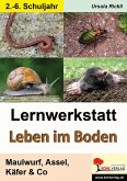 Lernwerkstatt Leben im Boden (eBook, PDF)